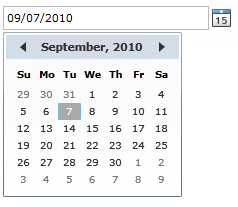 VIBlend Silverlight Date and Time Picker Control