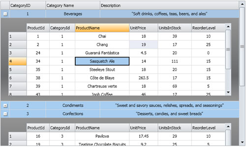 WPF Nested Grid